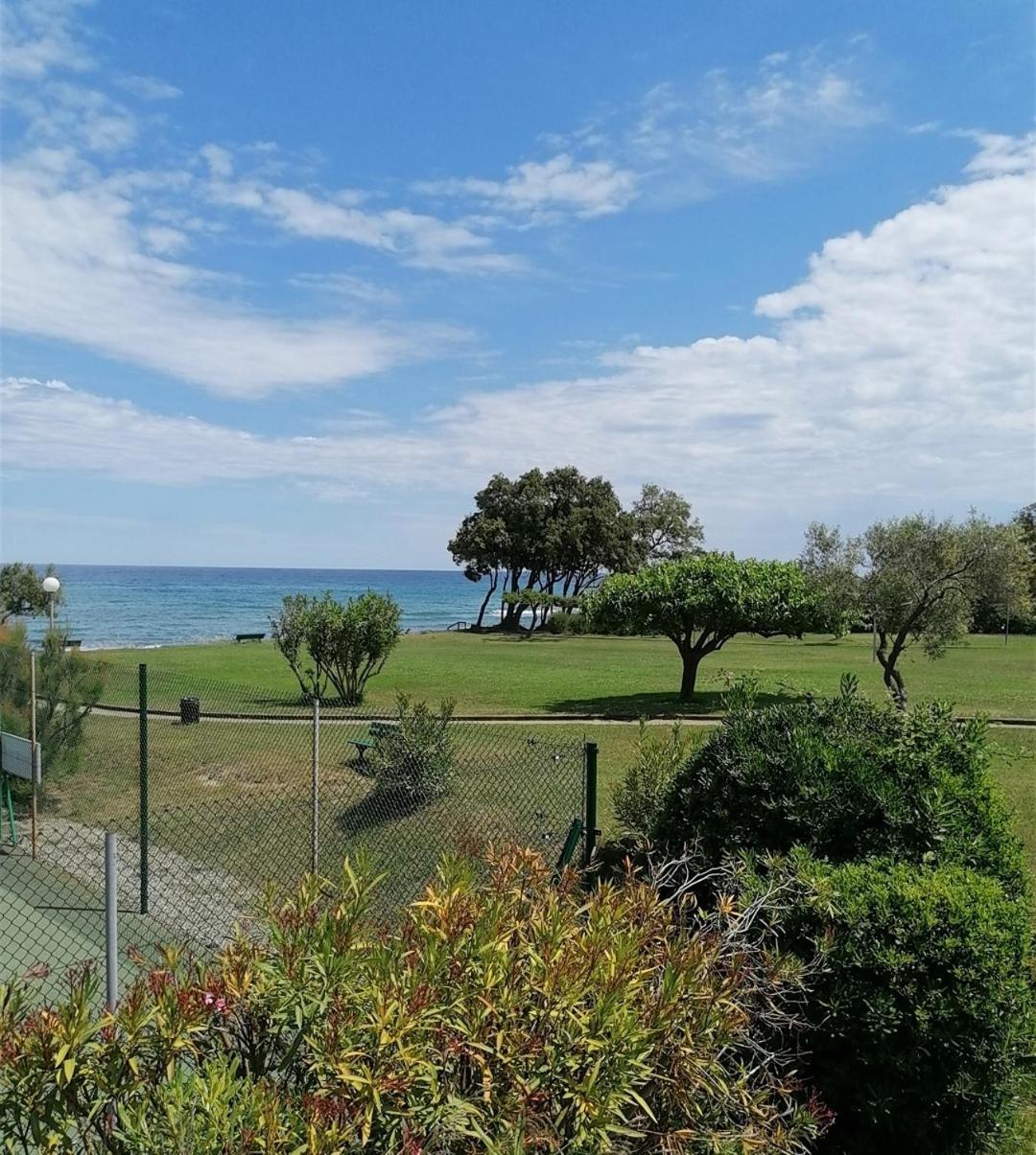 Studio 4 Personnes Bord De Mer Avec Piscine Wifi Cervione Exterior foto